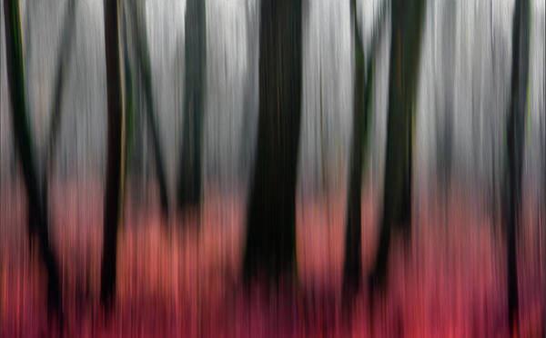Blurry Autumn Forest Wall Art