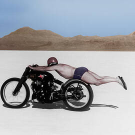 Roland Rollie Free by Mark Rogan