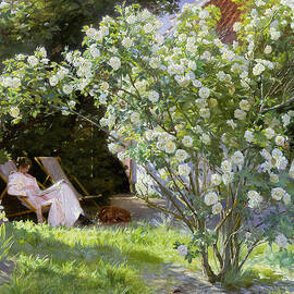 Roses by Peder Severin Kroyer