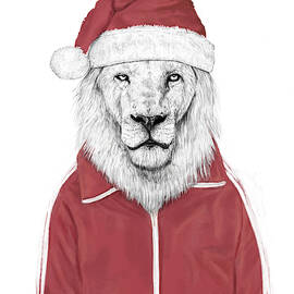 Santa lion  by Balazs Solti