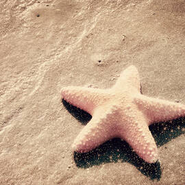 She Dreamed of Becoming a Star by Amy Tyler