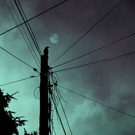 Sky is the limit by Cambion Art