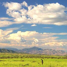 Skyscape over Las Cienegas