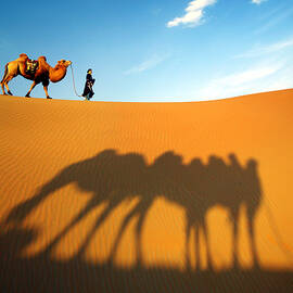 Sun And Shadow by Adam Wong