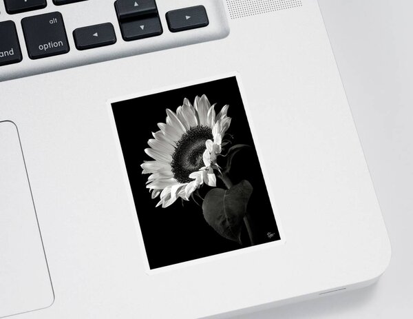 Black And White Stickers for Sale