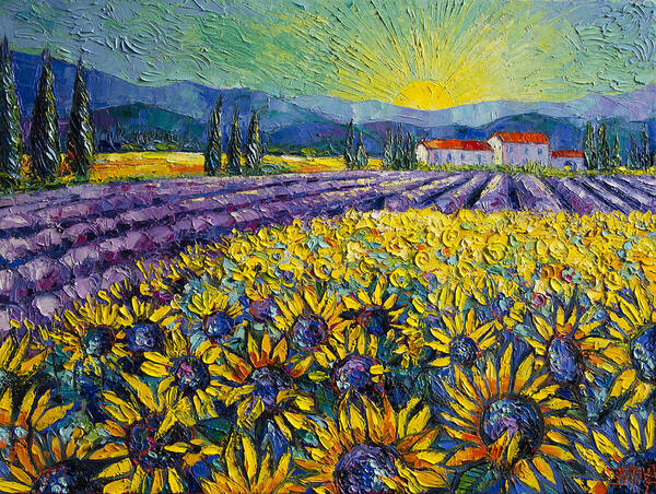 Sunlit Field of Sunflowers and Lavender Wall Art