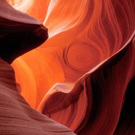 Symphony of Light by Sandra Bronstein