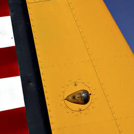 Tail Detail of Vultee BT-13 Valiant by Carol Leigh