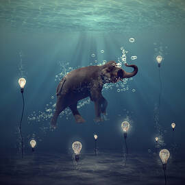 The dreamer by Martine Roch