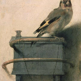 The Goldfinch by Carel Fabritius