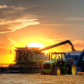 The Harvest by Thomas Zimmerman
