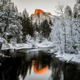The Last Sunshine by David H Yang