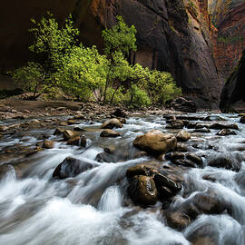 The Narrows by Larry Marshall