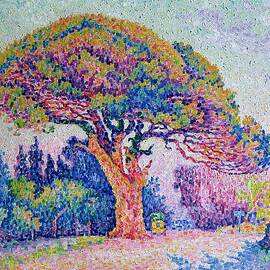 The Pine Tree at Saint Tropez by Paul Signac