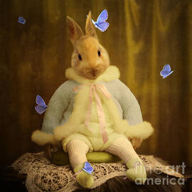 The Poet by Martine Roch