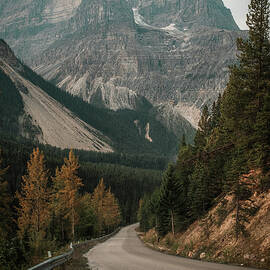 Road to Takawana Falls with View of Cathedral Mountain Yoho National Park Canadian Rockies Fine Art