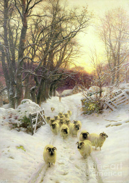 Sheep in a Snowy Winter Landscape Wall Art