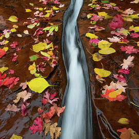 The Zion Crack by Larry Marshall