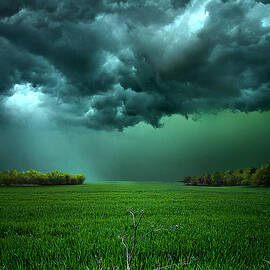 There Came a WInd by Phil Koch