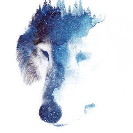 Through many storms by Robert Farkas