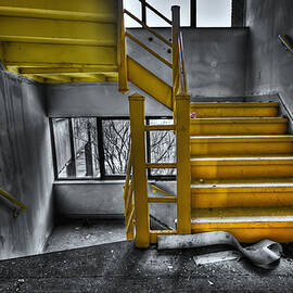 To The Higher Ground by Evelina Kremsdorf