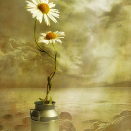 Together by Veikko Suikkanen