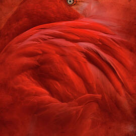 Tropical by Jeffrey Hummel