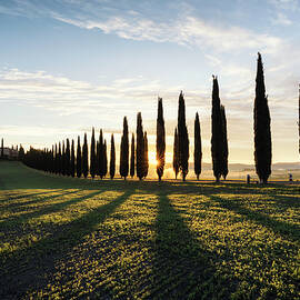 Tuscan Shadows by Matthew Train