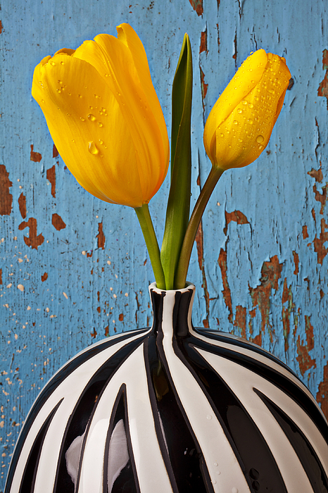 Tulips Art for Sale