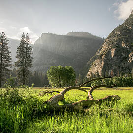 Valley Arise by Ryan Weddle