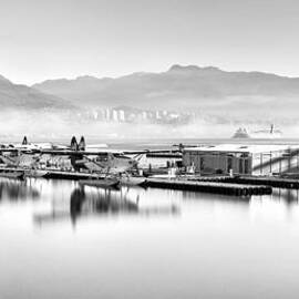 Vancouver Mist by Alexis Birkill
