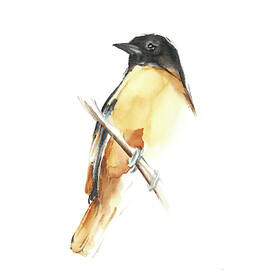 Watercolor Songbirds Vi by Ethan Harper