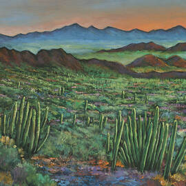 Westward by JOHNATHAN HARRIS