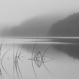 When You Can Hear The Silence by Benny Pettersson