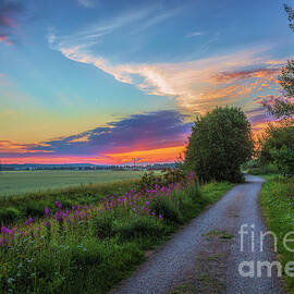 While waiting for summer..3 by Veikko Suikkanen