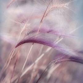 whispers in the wind by Priska Wettstein