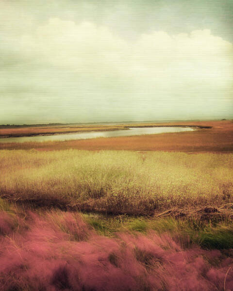 Serene Wetland Landscape Wall Art