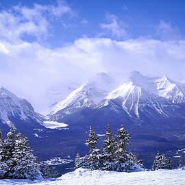 Winter mountains 1 by Elena Elisseeva