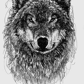 Wolf by Michael Volpicelli