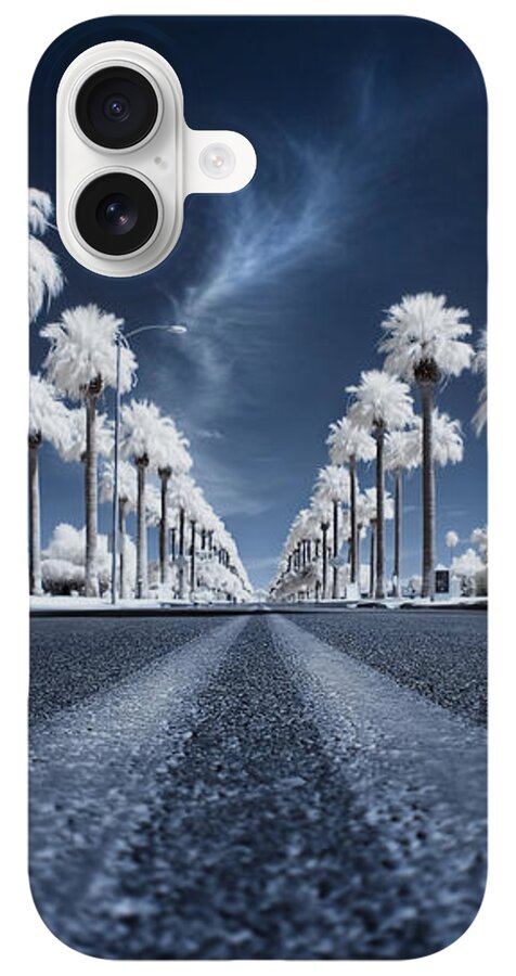 Palm Trees Under Blue Sky iPhone Case