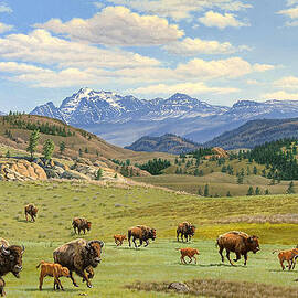 Yellowstone Spring by Paul Krapf