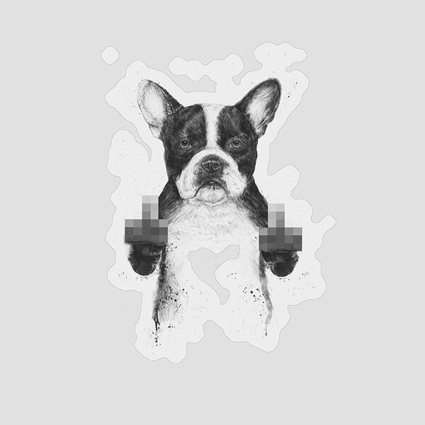 Boston Terrier with Attitude Sticker